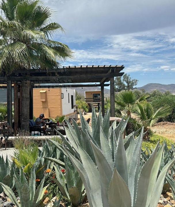 Photo of Others in Valle de Guadalupe