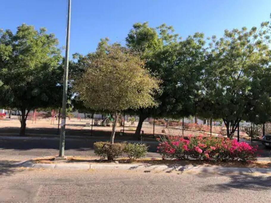 Photo of Outdoor in La Paz
