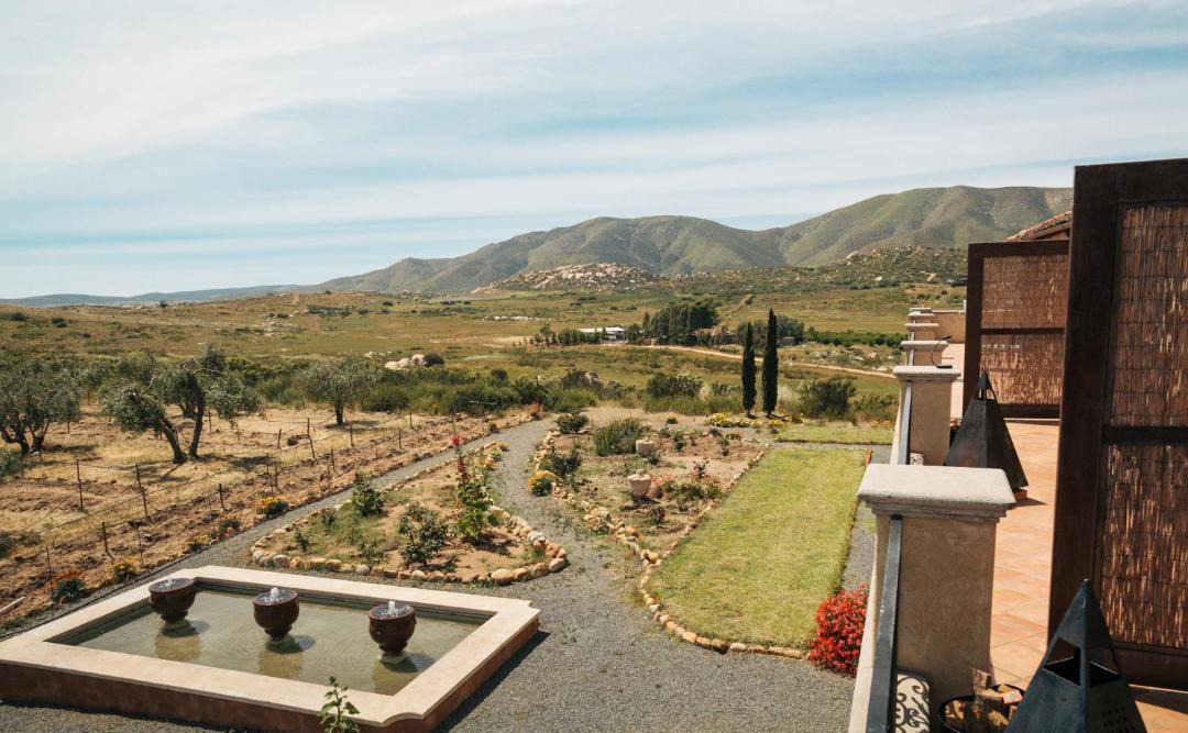 Photo of Others in Valle de Guadalupe