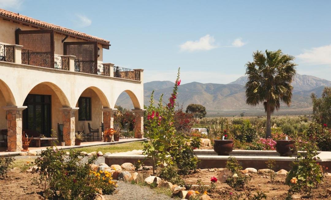 Photo of Others in Valle de Guadalupe