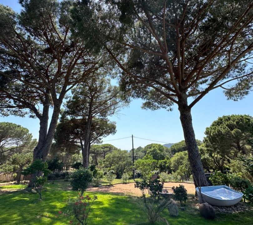 Photo of Others in Hameau de Palombaggia