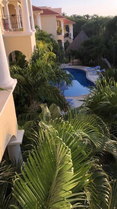 Photo of Others in Puerto Aventuras