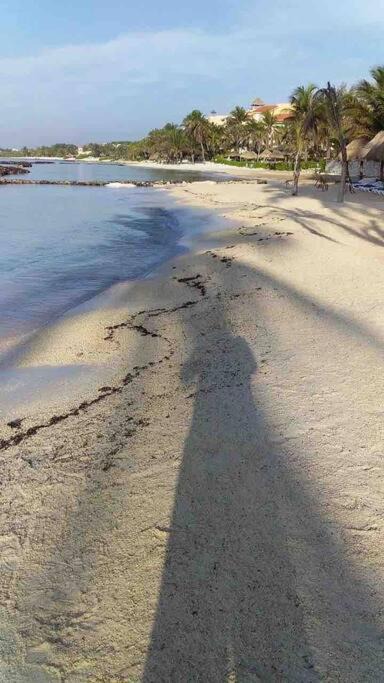 Photo of Others in Puerto Aventuras