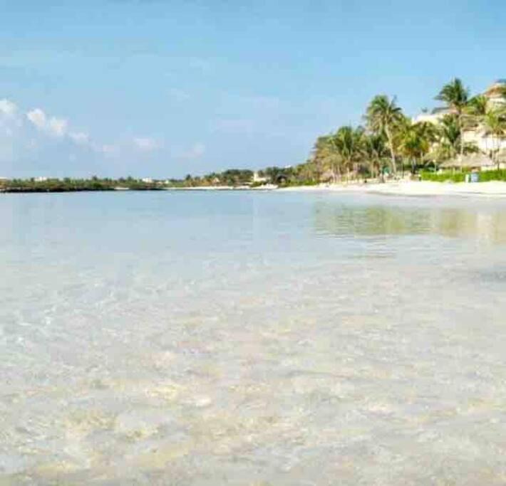 Photo of Others in Puerto Aventuras