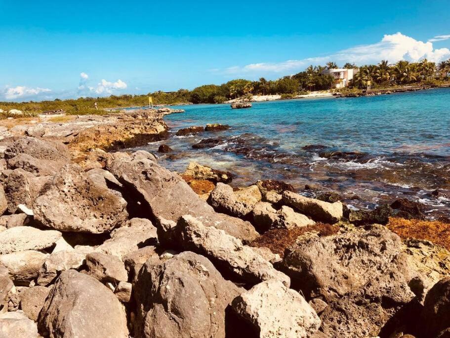 Photo of Others in Puerto Aventuras