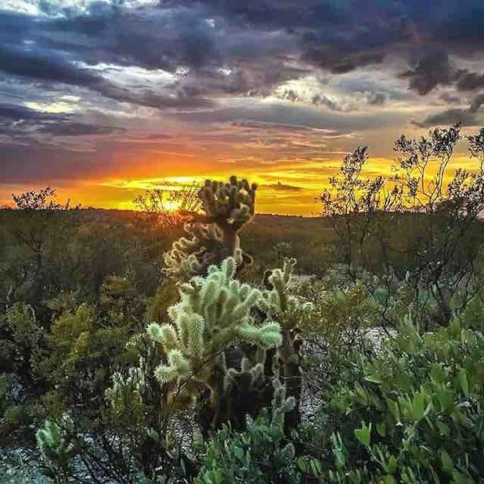 Photo of Others in Tucson