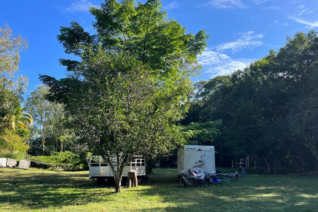 Photo of Outdoor in Escarcega