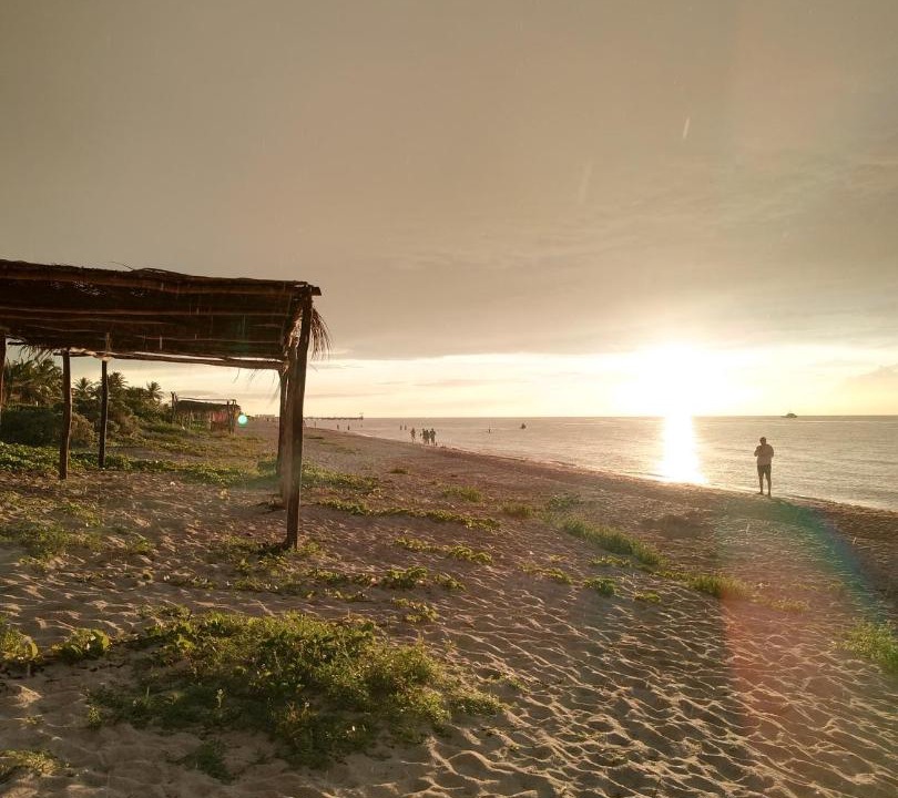 Photo of Others in Sisal