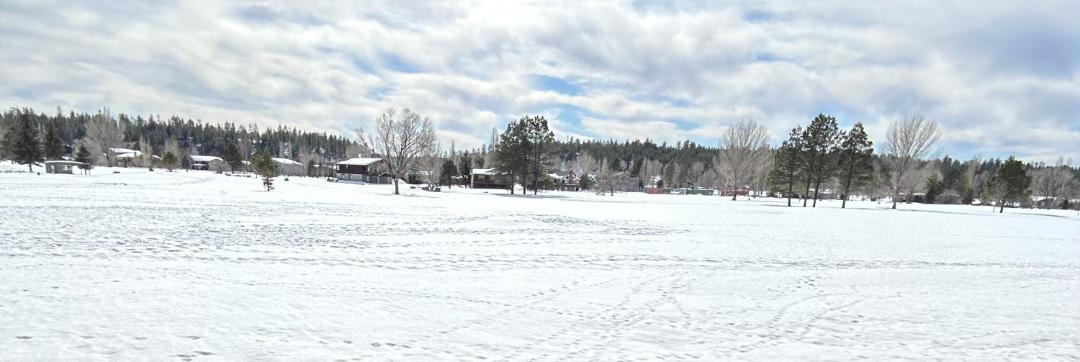 Photo of Others in Munds Park