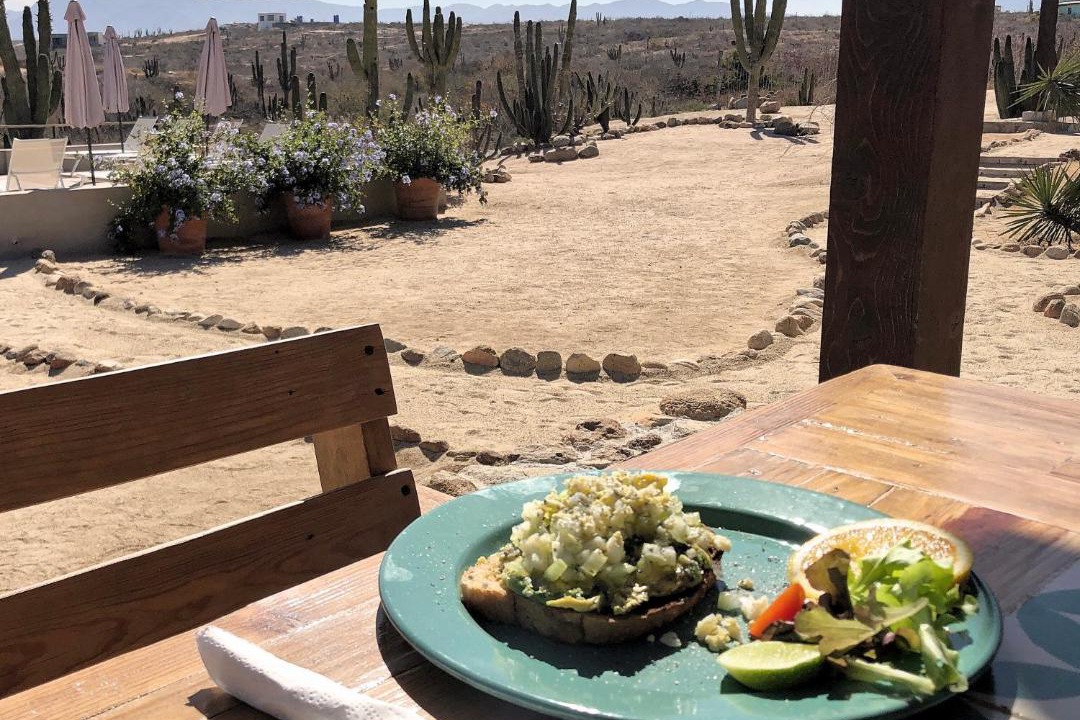 Photo of Others in Todos Santos