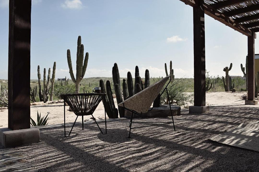 Photo of Others in Todos Santos