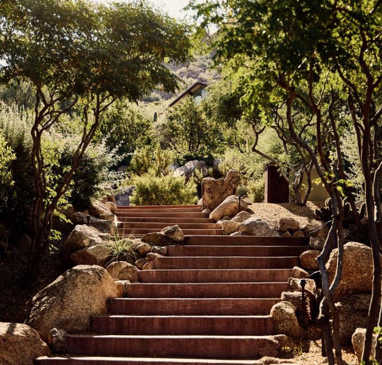 Photo of Others in Camel Dale Properties