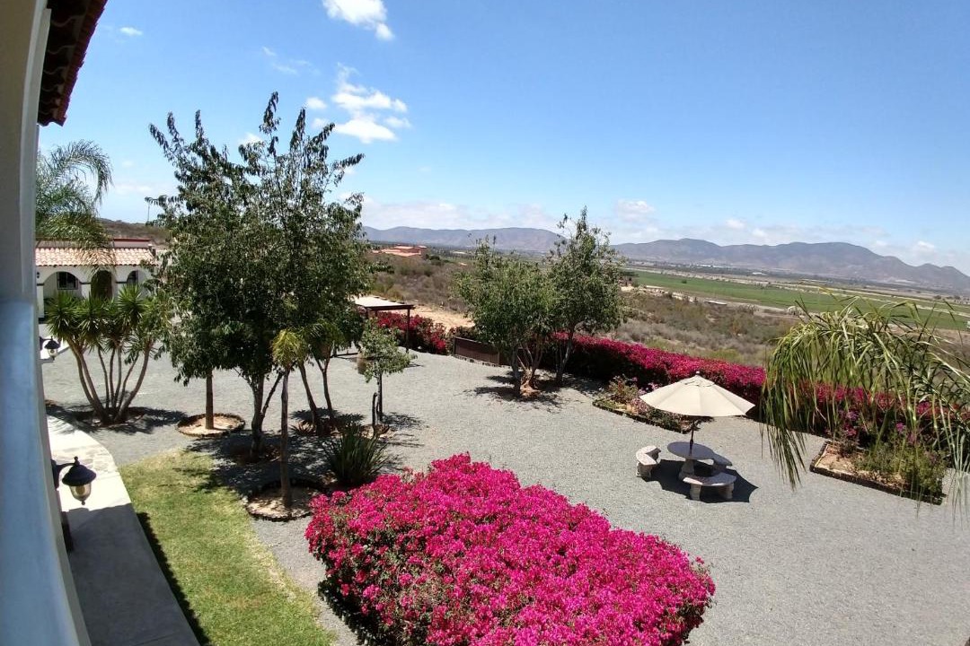 Photo of Others in Valle de Guadalupe