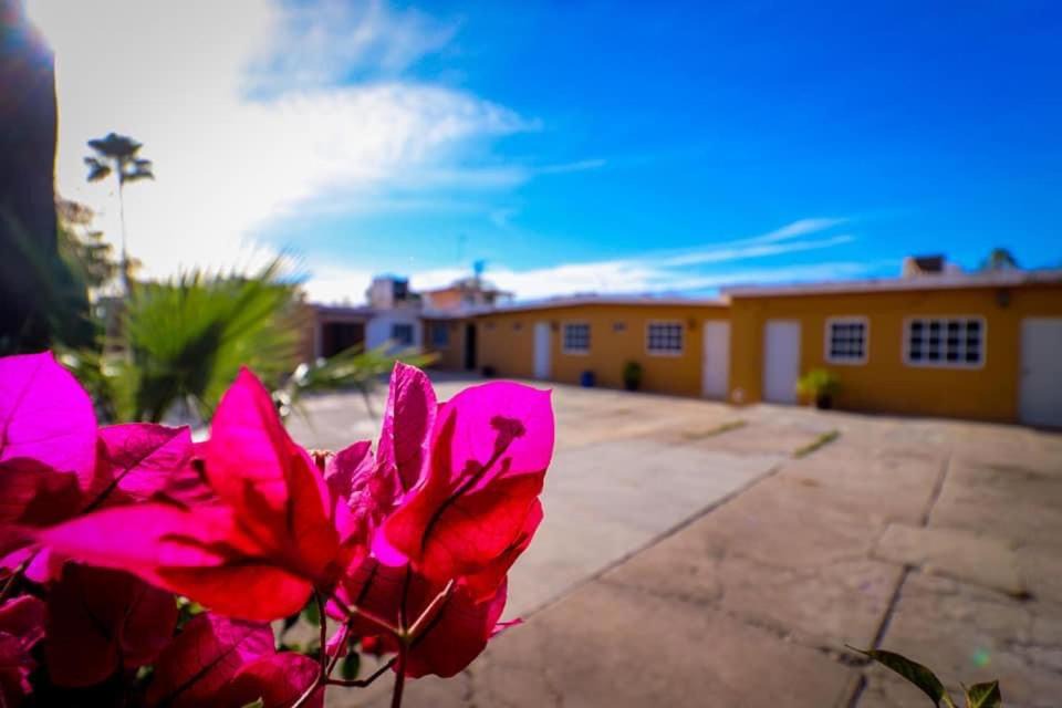 Photo of Others in El Fuerte