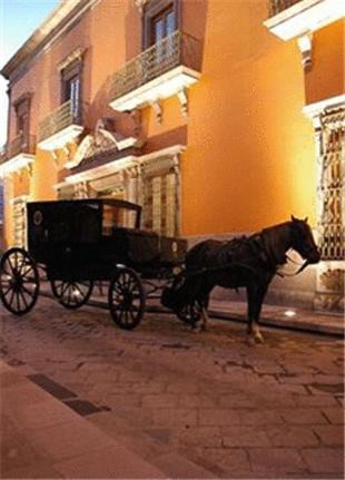 Photo of Others in Centro Historico