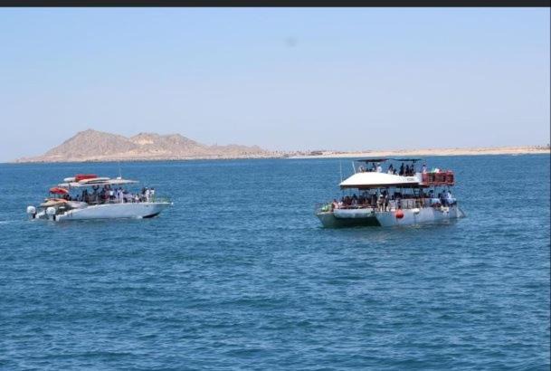 Photo of Others in Brisas del Golfo