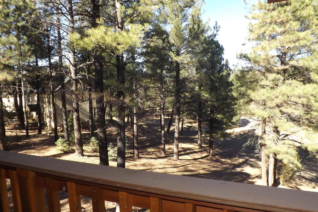 Photo of Patio Balcony in Flagstaff