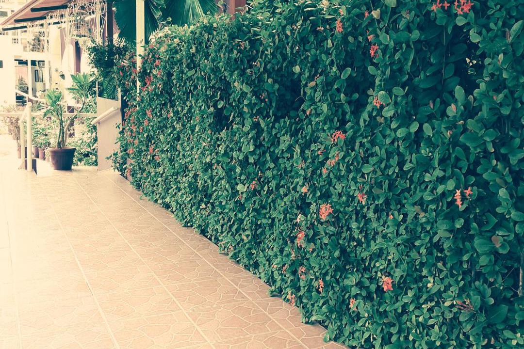 Photo of Others in San Andres Tuxtla