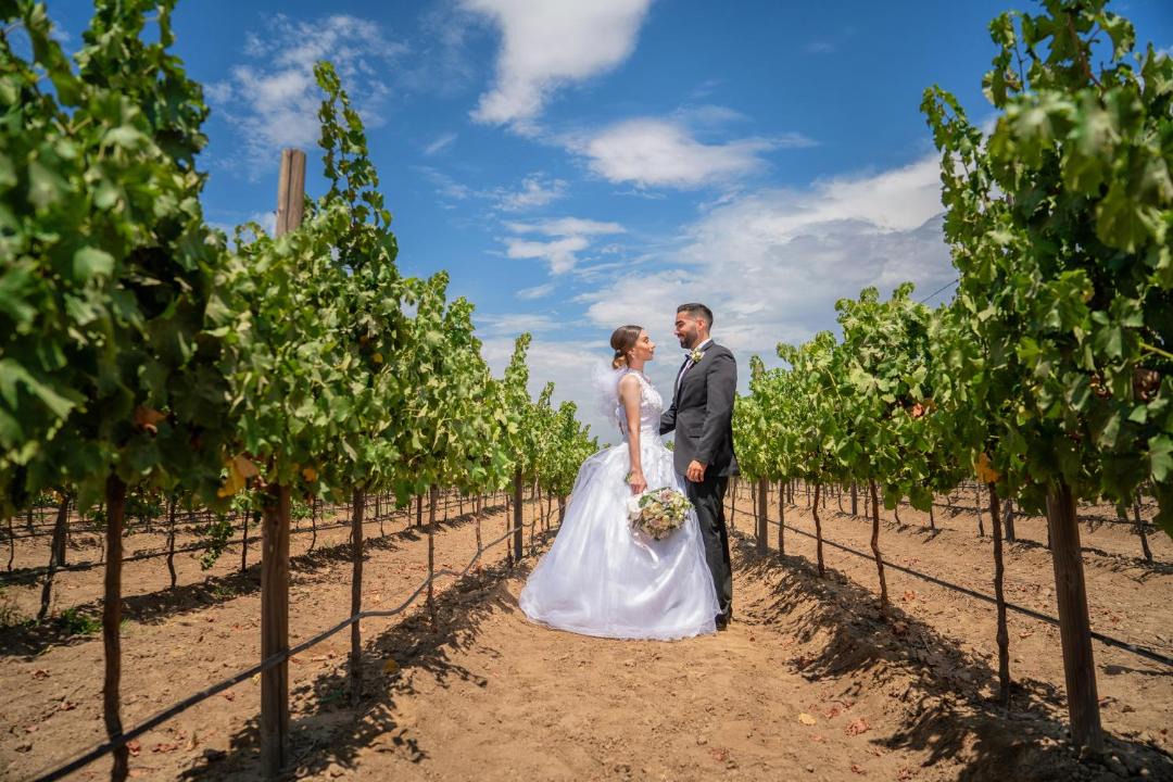 Photo of Others in Valle de Guadalupe