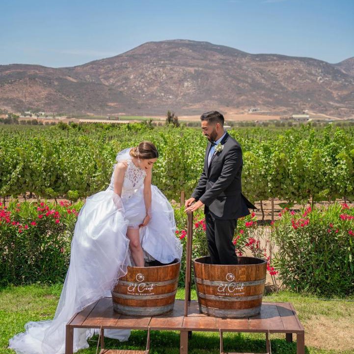Photo of Others in Valle de Guadalupe