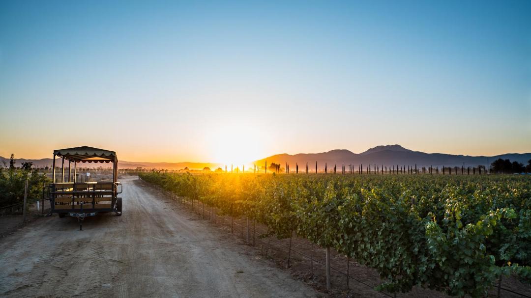 Photo of Others in Valle de Guadalupe