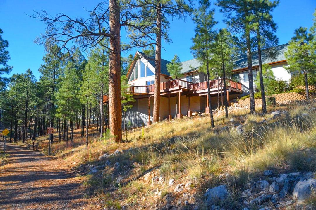 Photo of Others in Flagstaff