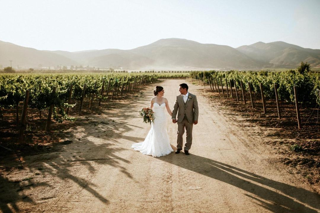 Photo of Others in Valle de Guadalupe