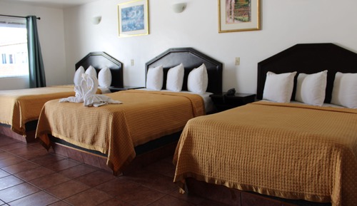 Basic Triple Room