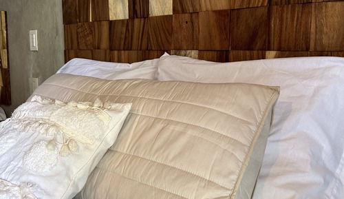 Deluxe Room, 2 Queen Beds, Private Pool