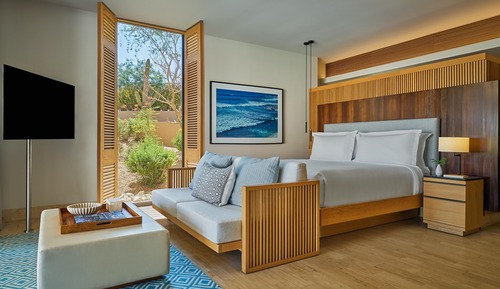 Suite, 1 King Bed with Sofa bed (View)