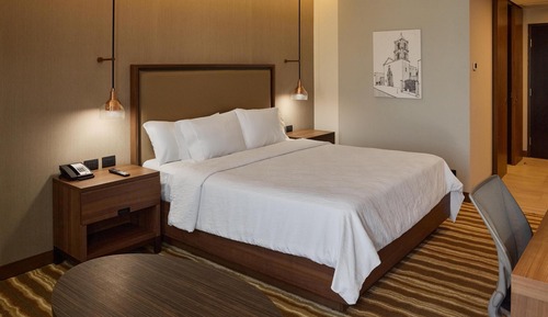 Room, 1 King Bed, Accessible (Mobility & Hearing, Roll-in Shower)