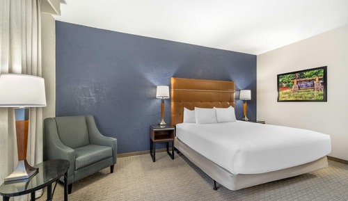 Room, 1 King Bed, Accessible (Roll in Shower)