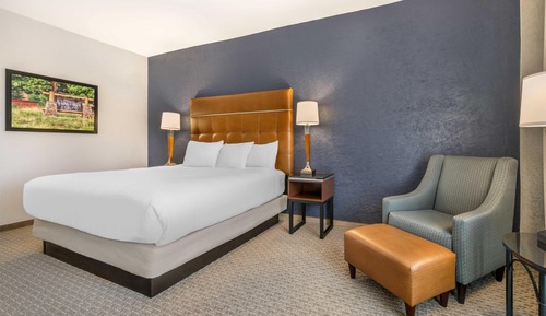 Room, 1 King Bed