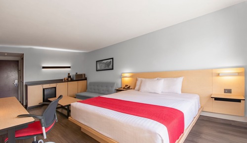 Suite, 1 King Bed with Sofa bed
