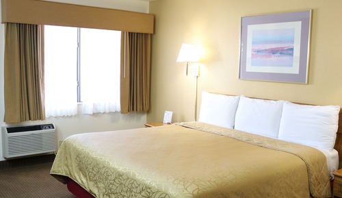 Standard Room, 1 King Bed