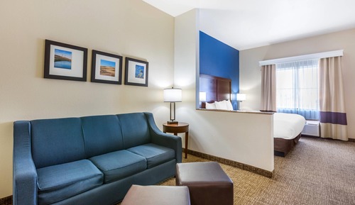 Suite, 1 King Bed with Sofa bed, Non Smoking