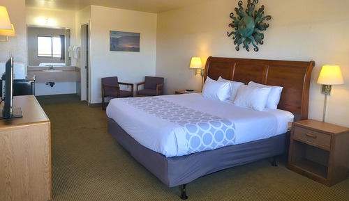 Standard Room, 1 King Bed, Non Smoking
