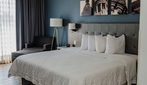 Room, 1 King Bed, Accessible, Non Smoking (Roll-in Shower)