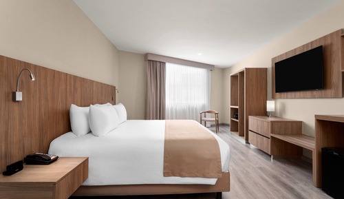 Room, 1 King Bed, Non Smoking