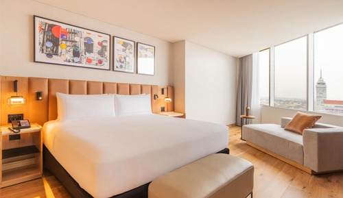 Business Suite 1 King bed