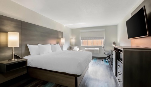 Room, 1 King Bed, Non Smoking