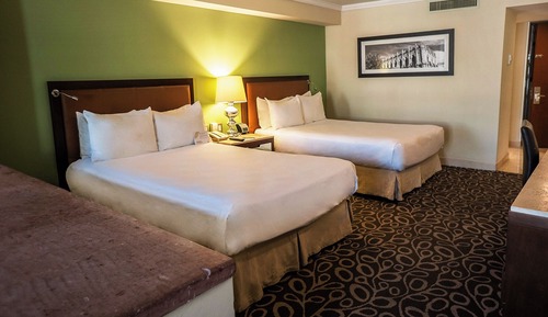 Basic Room, 2 Double Beds