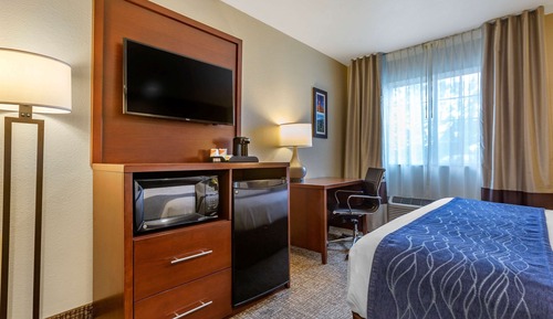 Standard Room, 1 King Bed, Non Smoking