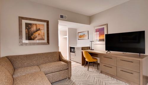 Suite, 1 King Bed, Non Smoking, Refrigerator & Microwave (with Sofabed)