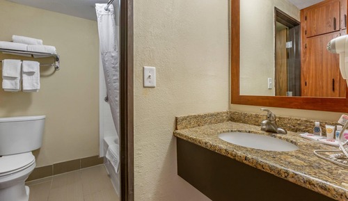 Deluxe Suite 1 King Bed, Sofa Bed, Sitting Area, Non-Smoking