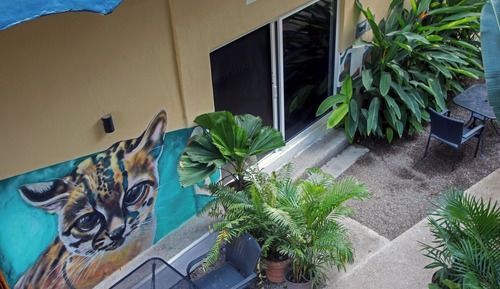 Suite, 1 Queen Bed, Pets Allowed, Garden View