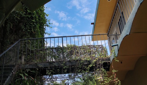 Standard Quadruple Room, 2 Double Beds, Pets Allowed, Pool View