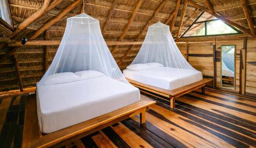 Deluxe Suite with Private Terrace