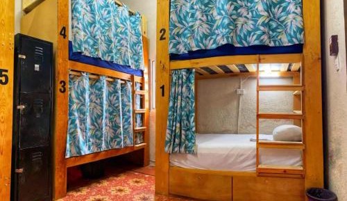 Single Bed in Female Dormitory Room