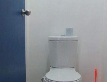 Single Bed in Mixed Dormitory Room